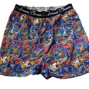 Vintage 1997 Looney Tunes Taz Boxer Shorts XL